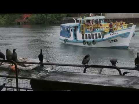 Nostalgia de la Ribera Feria Fluvial de Valdivia (Obra en proceso)