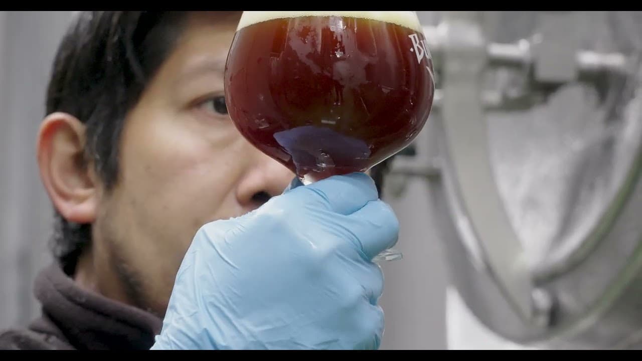 Teaser "Valdivia capital cervecera" del sur del mundo